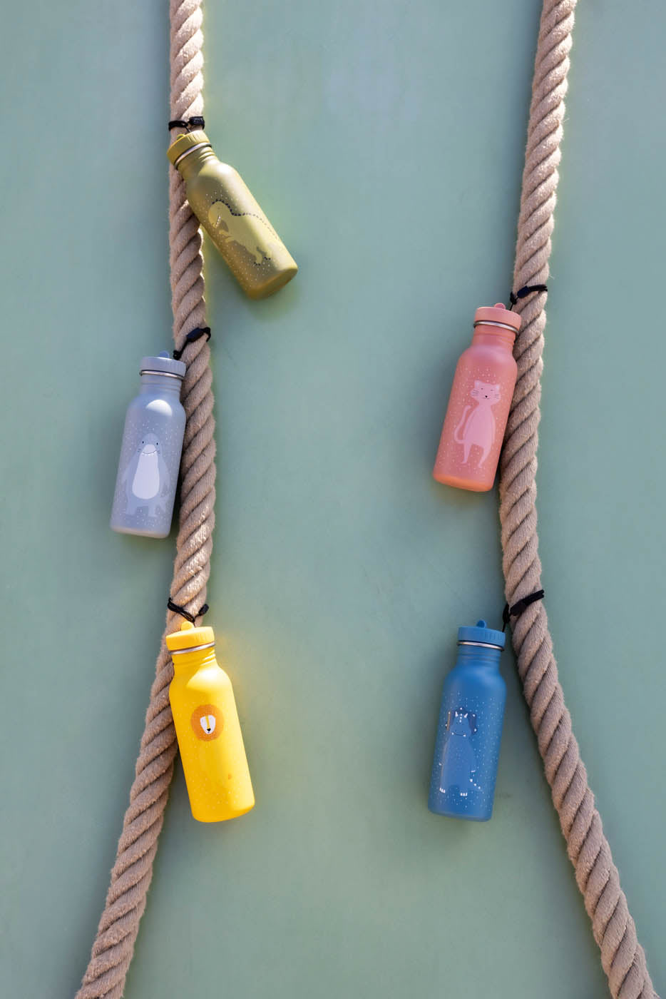 Gertuvė 350ml/500ml - Ryklys