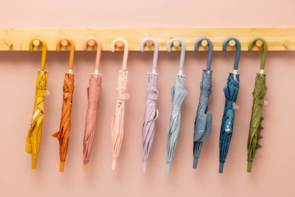 Skėtis - Dinozauras