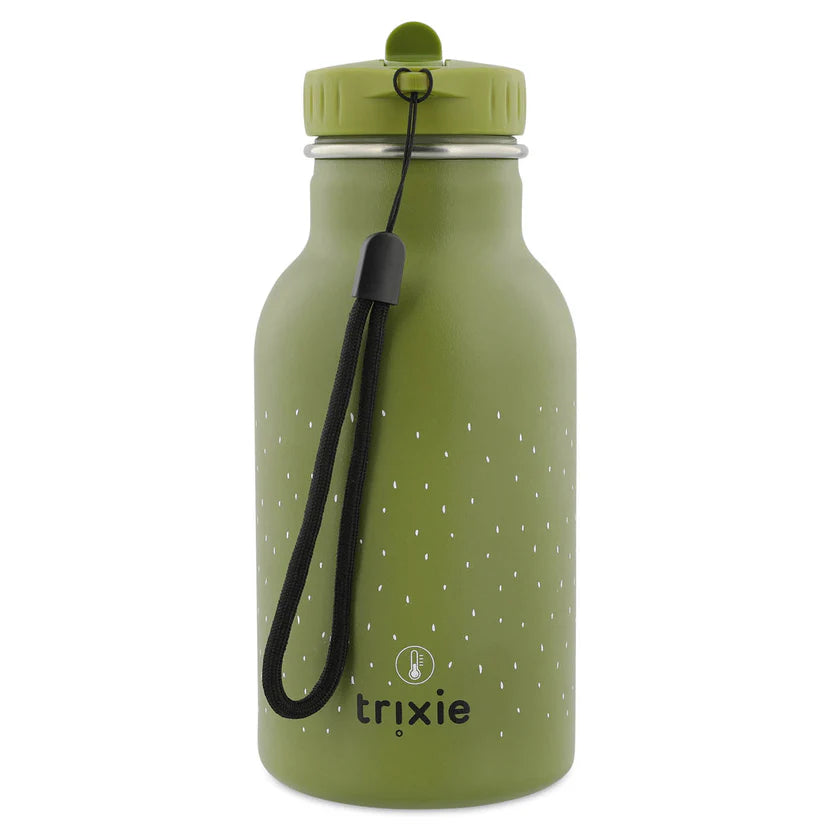 Termo gertuvė vaikams, 350 ml - Misteris Dinozauras