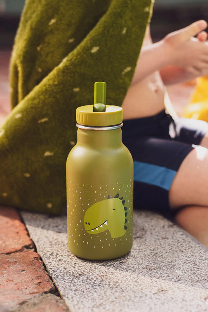 Termo gertuvė vaikams, 350 ml - Misteris Dinozauras