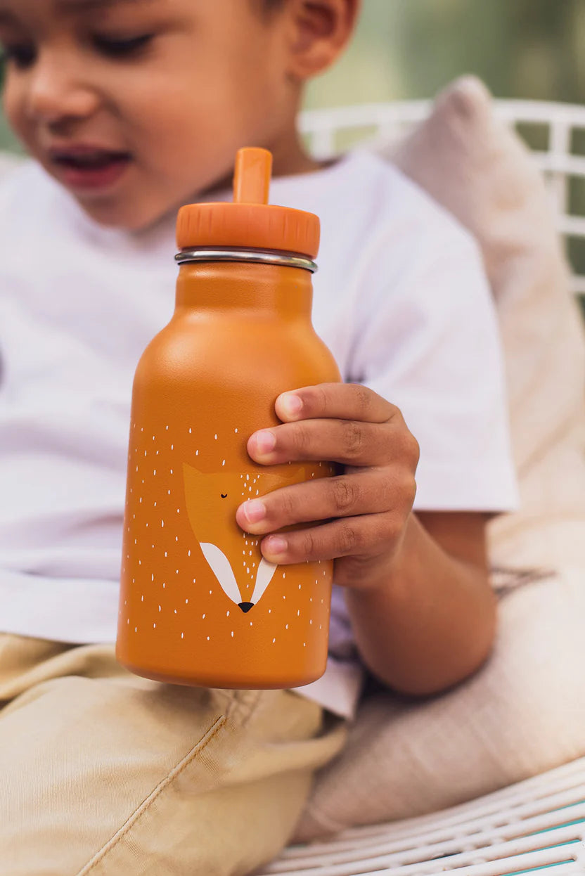 Termo gertuvė vaikams, 350 ml - Ponia Lapė