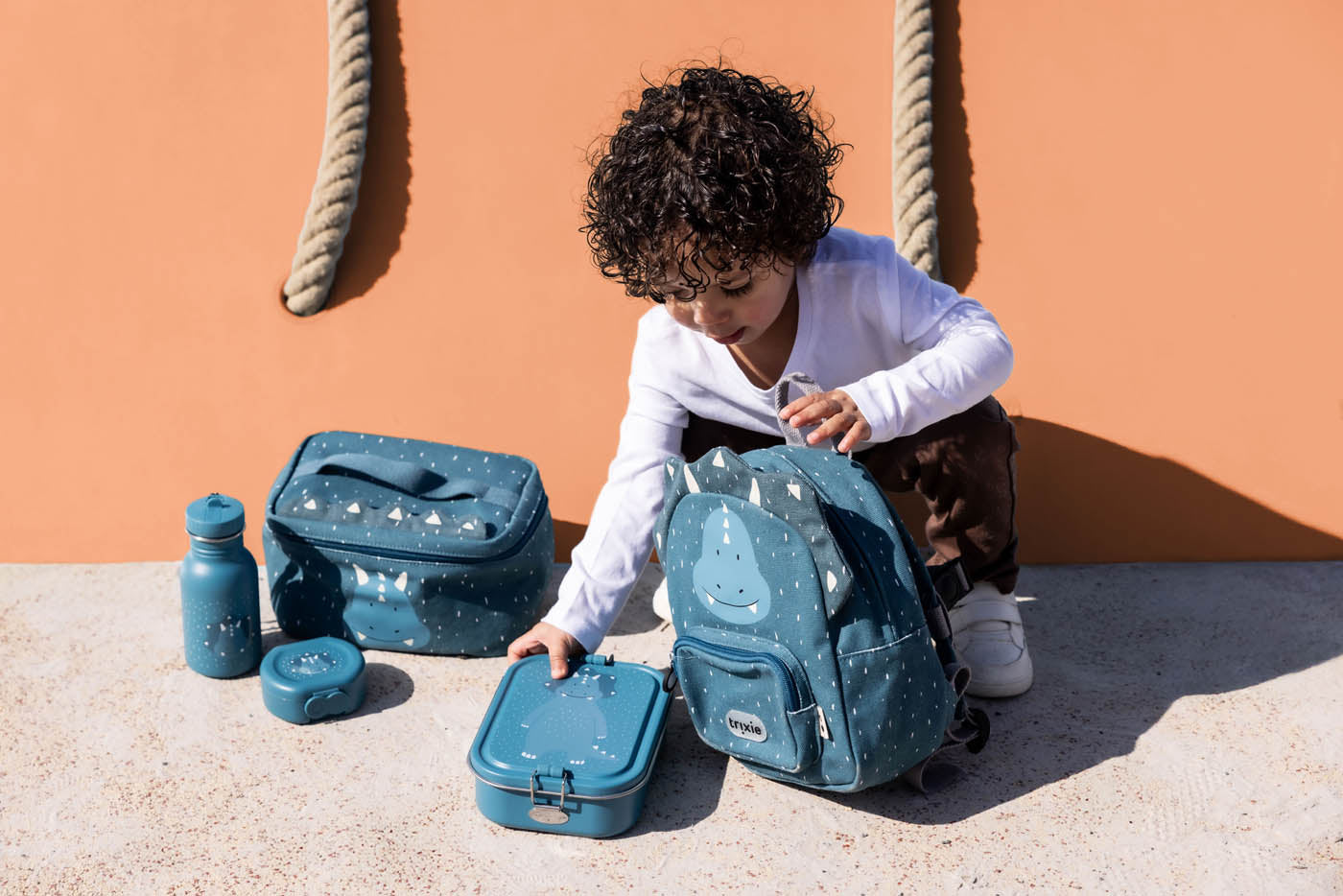 Pietų dėžutė –  Triceratopsas (maža/didelė)