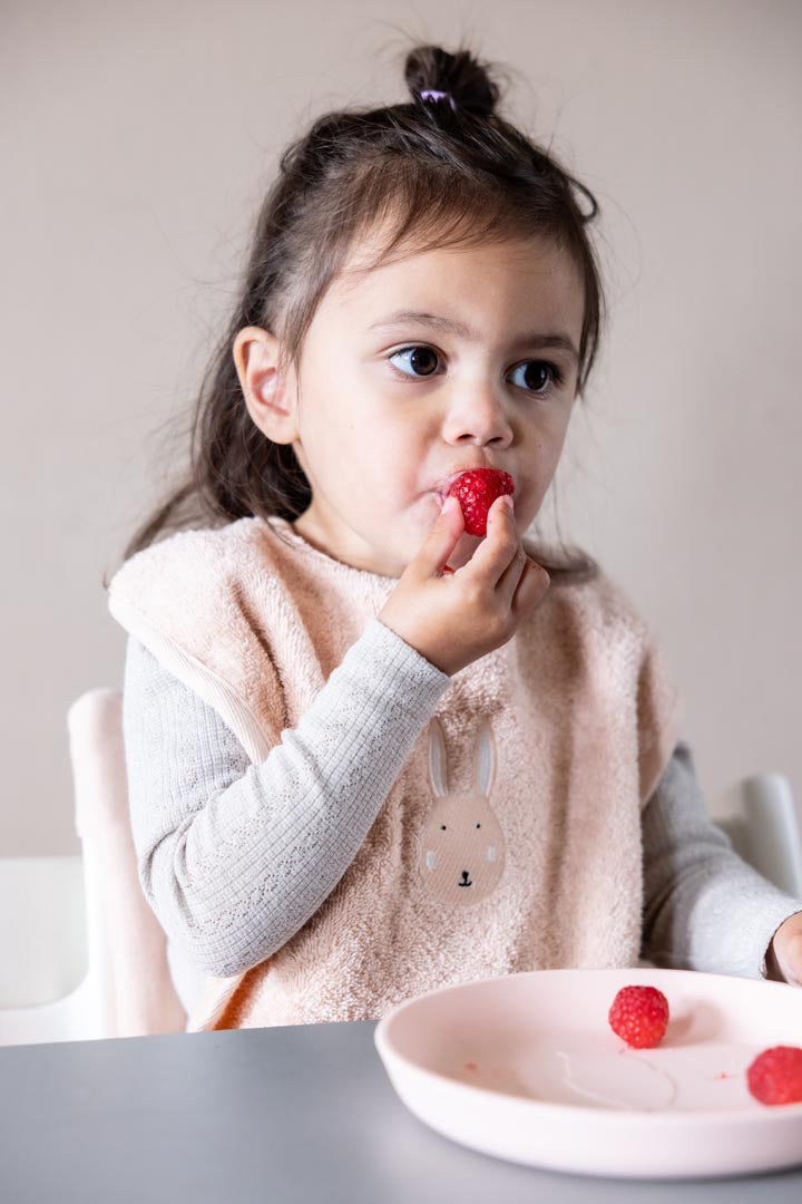 Seilinukų rinkinys (2 vnt.) (Dinozauras/zuikis/liūtas)