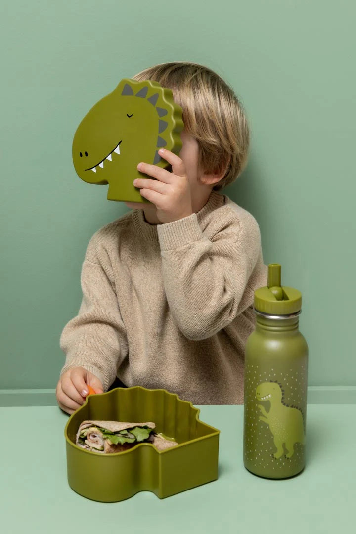 Pietų dėžutė - Misteris Dinozauras
