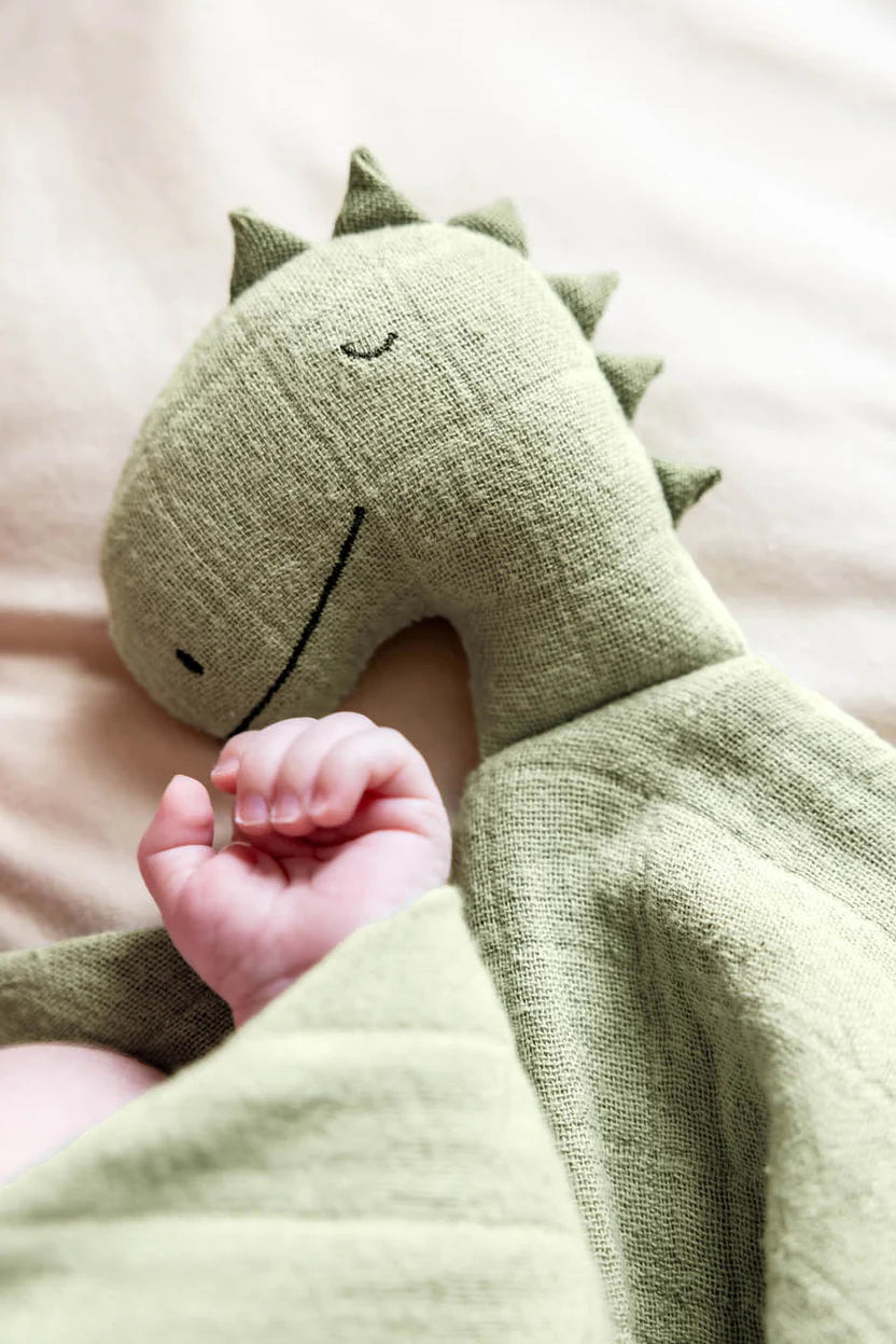 Migdukas kūdikiams „Misteris Dinozauras“