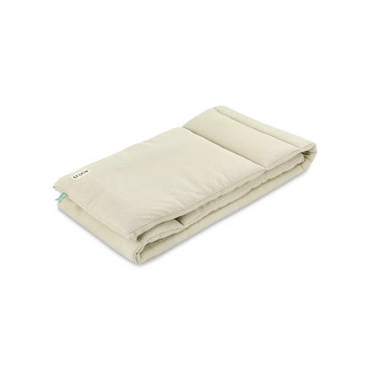 Lovytės ir maniežo apsauga