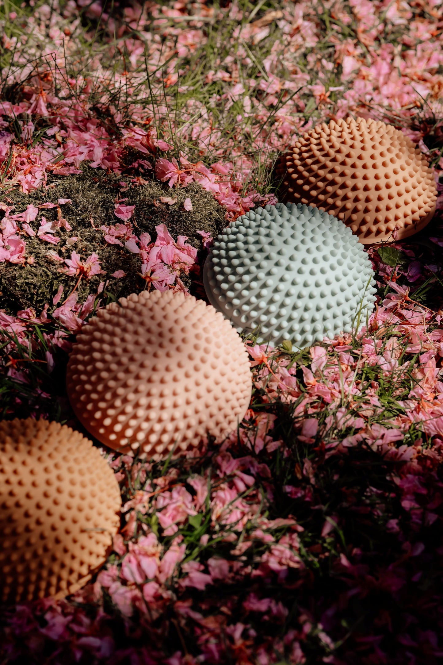 Sensorinės formos - saulėtekis