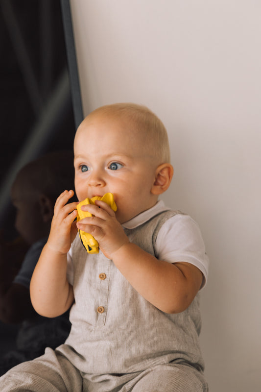 Ana Banana Pop Art – riboto leidimo kramtukas