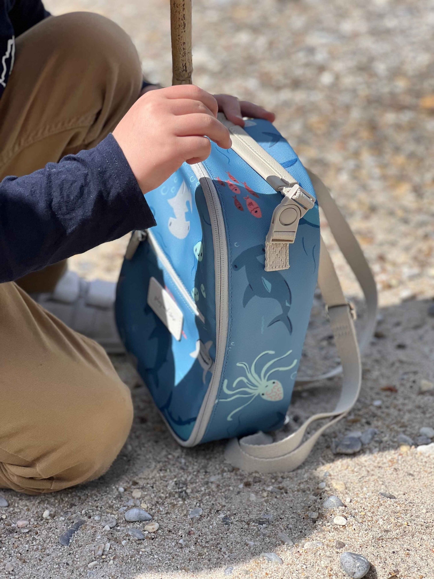 Mėlyna keliautojų pietų kuprinė