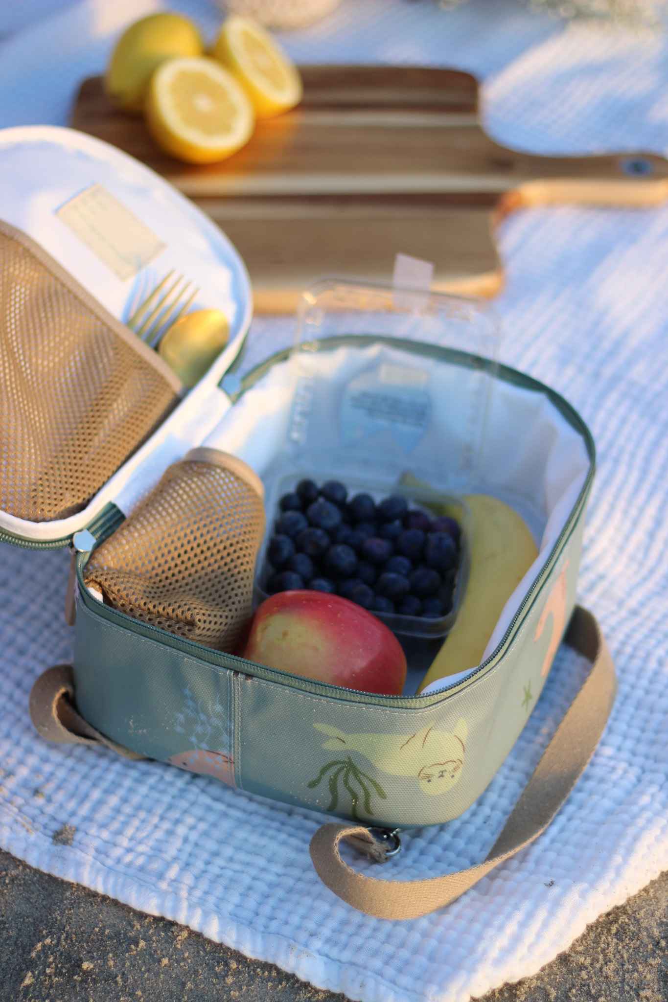 Žalia keliautojų pietų kuprinė