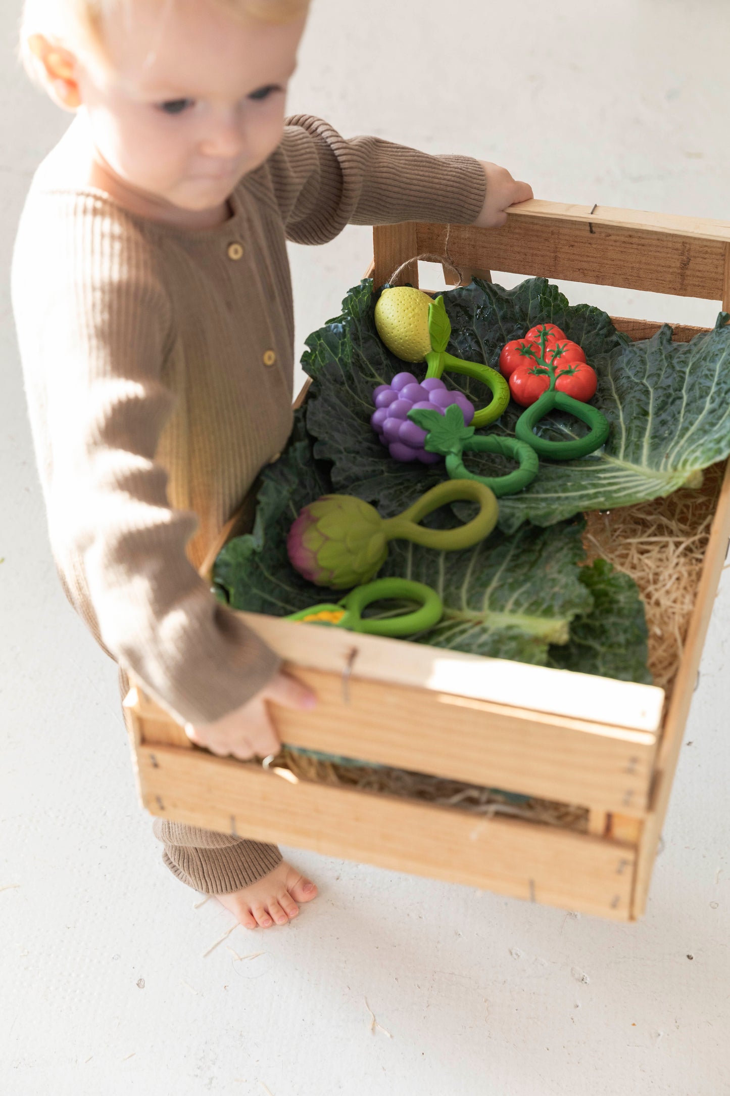 Artišoko kramtukas - barškutis