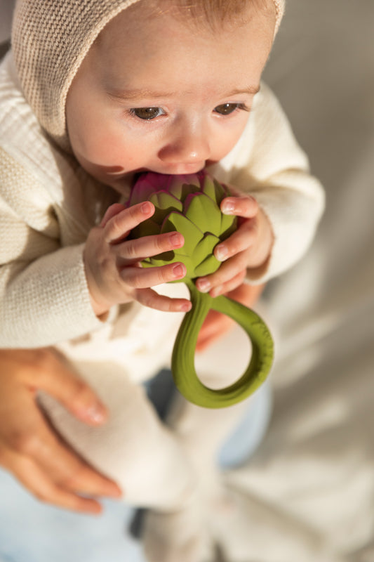 Artišoko kramtukas - barškutis