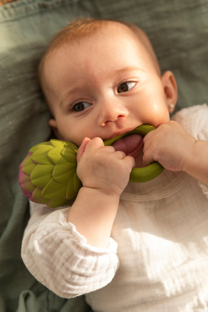 Artišoko kramtukas - barškutis