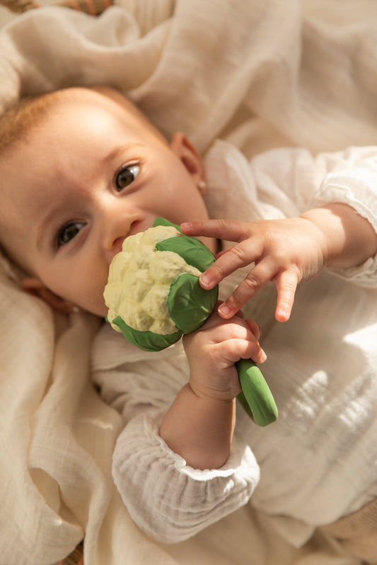 Žiedinio kopūsto kramtukas - barškutis