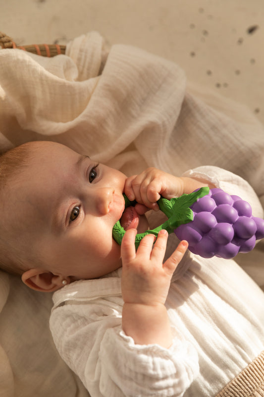 Vynuogių kramtukas - barškutis