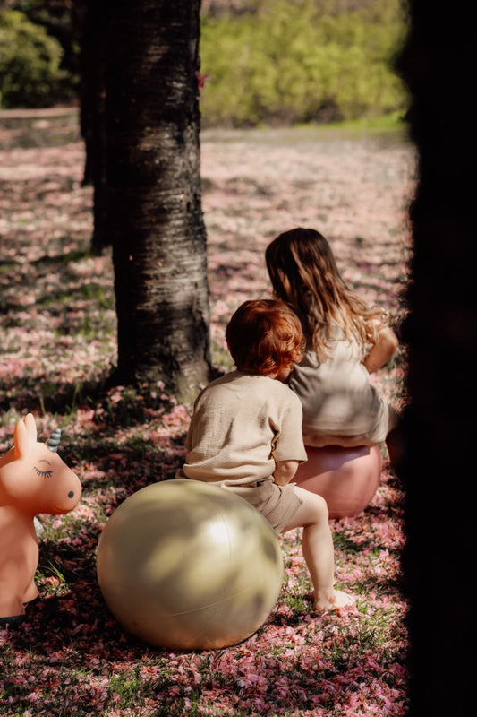 Hippo šokinėjimo kamuolys – auksinis