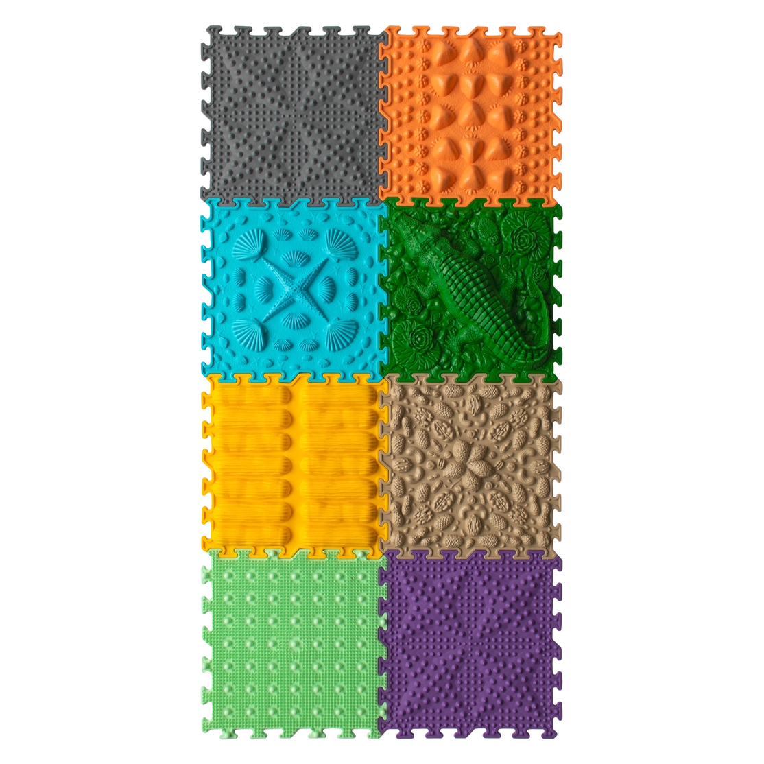 Sensorinis kilimėlis – rinkinys „Krokodilas čia“